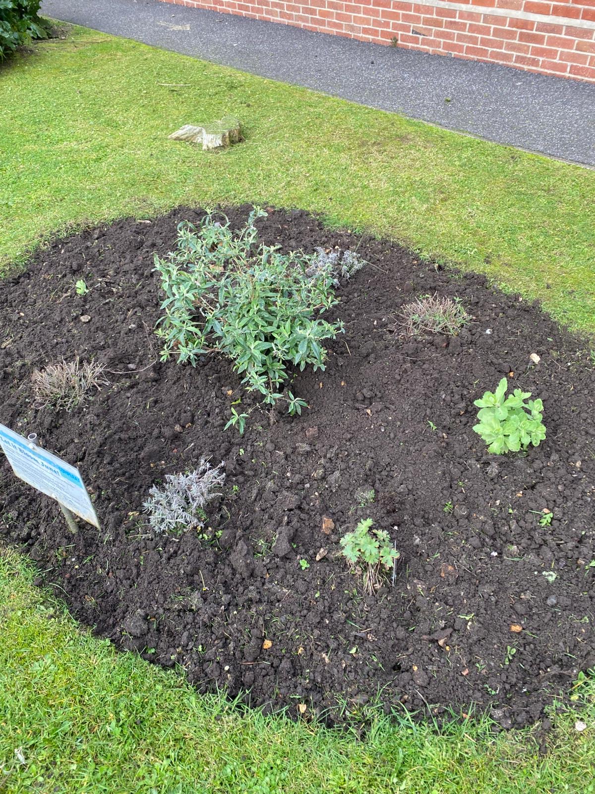 175557a7 7cd5 41fe b6d6 e966b4b032e5